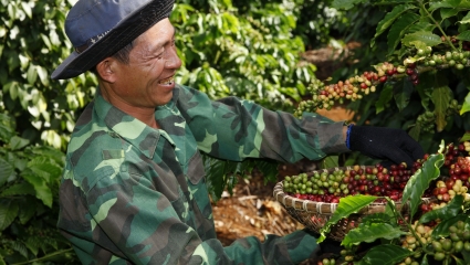 Kỷ lục kim ngạch xuất khẩu cà phê niên vụ 2021-2022