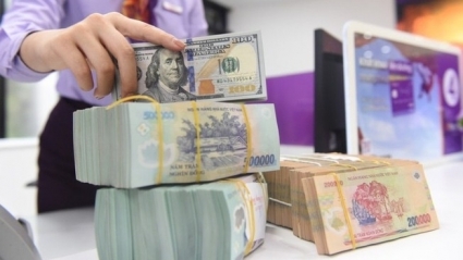 Standard Chartered: Tốc độ giảm giá của tiền đồng Việt Nam sẽ chậm lại