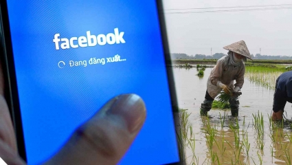 Facebook, Google đã nộp bao nhiêu thuế ở Việt Nam?