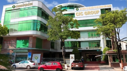 CIC Group (CKG) muốn chào bán riêng lẻ 13,4 triệu cổ phiếu lấy tiền trả nợ