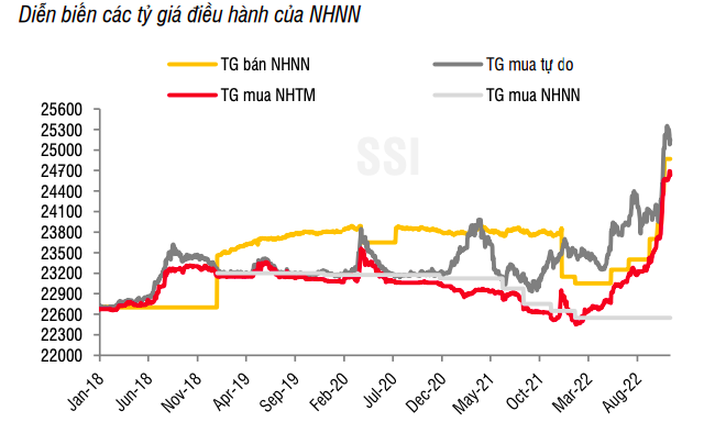 SSI Research: Áp lực tâm lý tỷ giá còn lớn