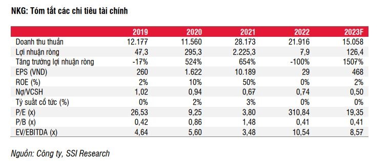 Sau Hòa Phát, SSI Research hạ dự phóng lợi nhuận 2022 của Nam Kim còn vỏn vẹn 8 tỷ đồng