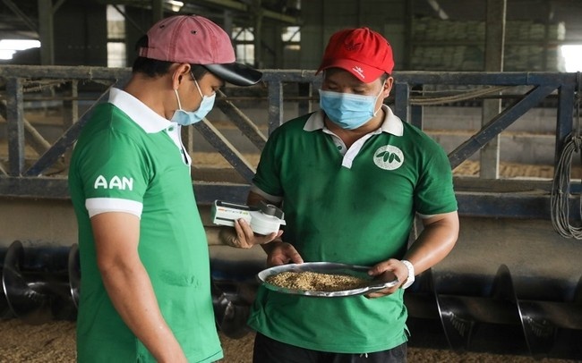 Tập đoàn Tân Long - tầm nhìn và mục tiêu phát triển gạo Việt