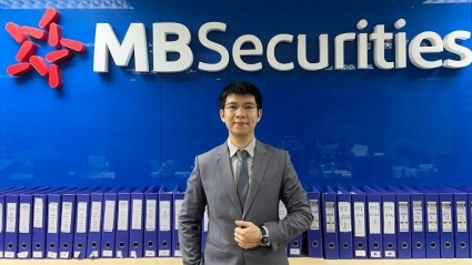 Thị trường đã tạo đáy, cổ phiếu nào đang hấp dẫn?
