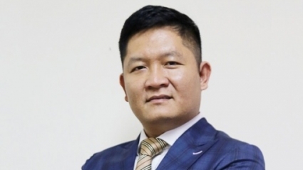 Chứng khoán Trí Việt bổ nhiệm Chủ tịch Hội đồng quản trị mới