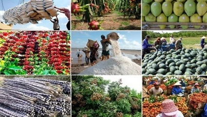 Việt Nam lạc quan với mục tiêu 5 tỷ USD kim ngạch xuất khẩu rau quả