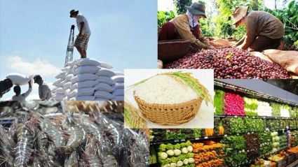 Ngành nông nghiệp Việt Nam xác lập nhiều kỷ lục trong năm 2022