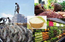 Mục tiêu 55 tỷ USD kim ngạch xuất khẩu nông, lâm, thủy sản có khả thi?