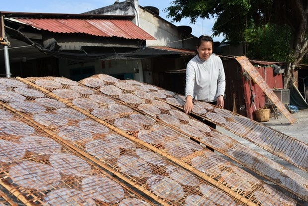 Bà Rịa-Vũng Tàu: Làng nghề truyền thống tất bật vụ cuối năm | Kinh doanh | Vietnam+ (VietnamPlus)