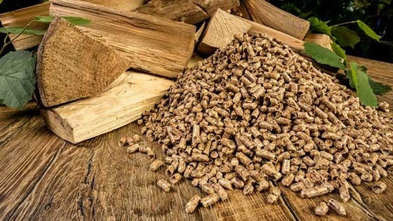 Năm 2023, thị trường dăm gỗ và viên nén gỗ còn “nóng” như 2022?