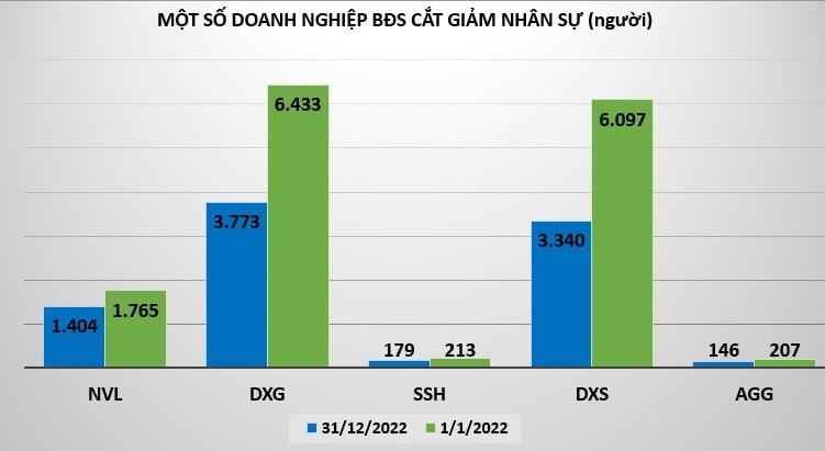 Làn sóng sa thải nhân sự ở các doanh nghiệp địa ốc