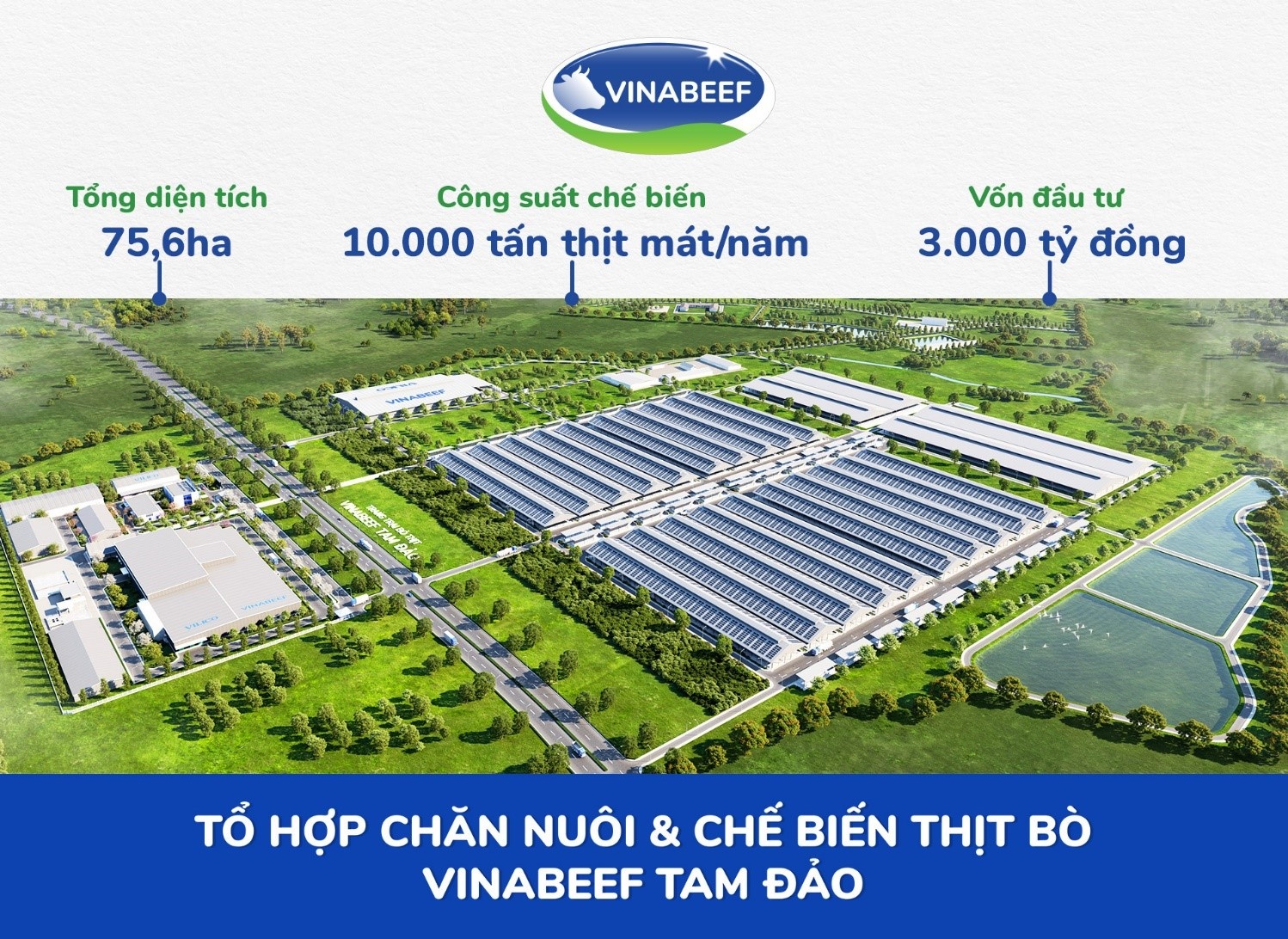 Khởi công tổ hợp chăn nuôi - chế biến thịt bò Vinabeef Tam Đảo quy mô 3.000 tỷ đồng