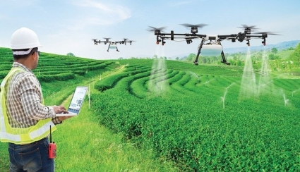 Giải pháp ứng dụng thành công AI trong nông nghiệp