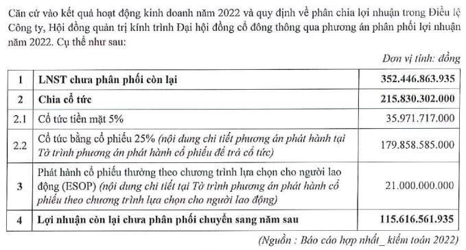 Phương án chia cổ tức năm 2022