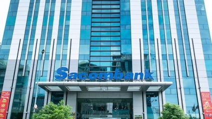Sacombank đặt kế hoạch lãi trước thuế 9.500 tỷ đồng, không đề cập chia cổ tức
