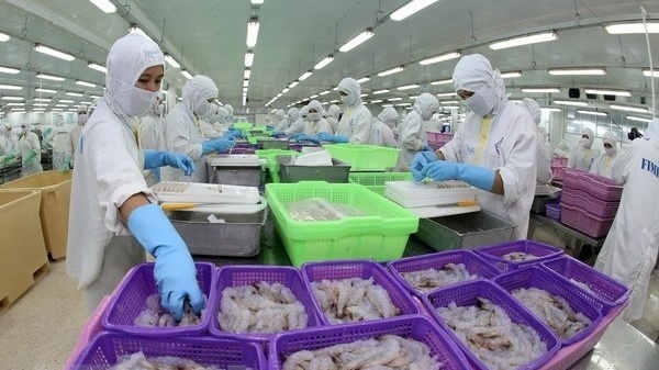 Công ty CP Thủy sản và Thương mại Thuận Phước tuyển lao động chế biến tôm xuất khẩu