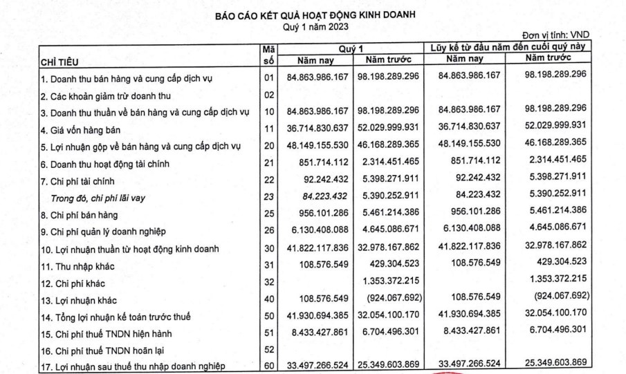 Nguồn: BCTC quý I/2023 của SZG.