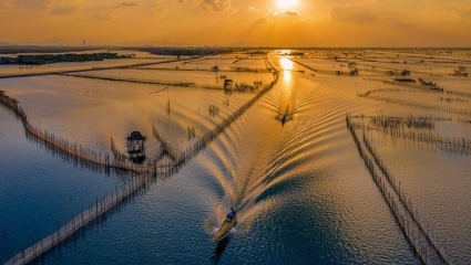 Thừa Thiên Huế: Sẽ đầu tư hơn 1.000 tỉ đồng xây cầu vượt phá Tam Giang