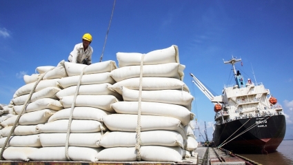 Giá gạo Việt tăng trên 35% sau khi Ấn Độ cấm xuất khẩu gạo