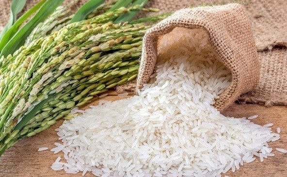 Giá gạo tăng mức cao nhất nhất trong 12 năm gần đây
