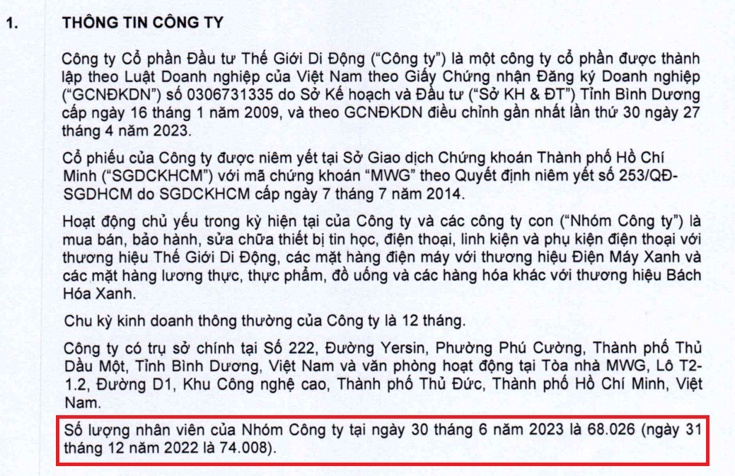 Nguồn: Báo cáo tài chính hợp nhất quý II/2023 của MWG