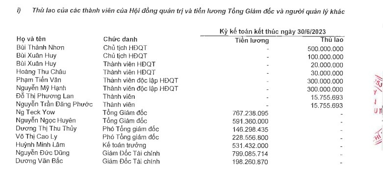 Nguồn: BCTC hợp nhất quý II/2023 của Novaland.