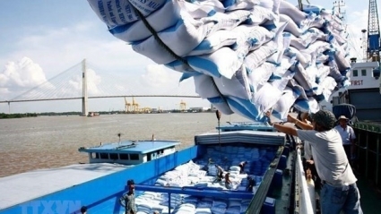 Philippines - Nhà sản xuất gạo lớn ở Đông Nam Á - đàm phán mua gạo Việt Nam