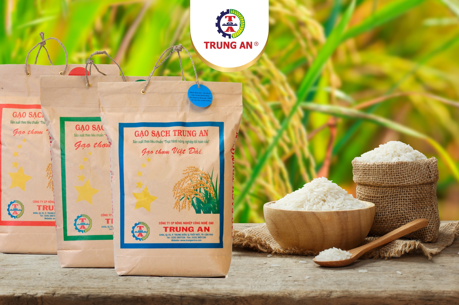 Gạo Trung An (TAR) cơ cấu lại nhân sự trong công ty