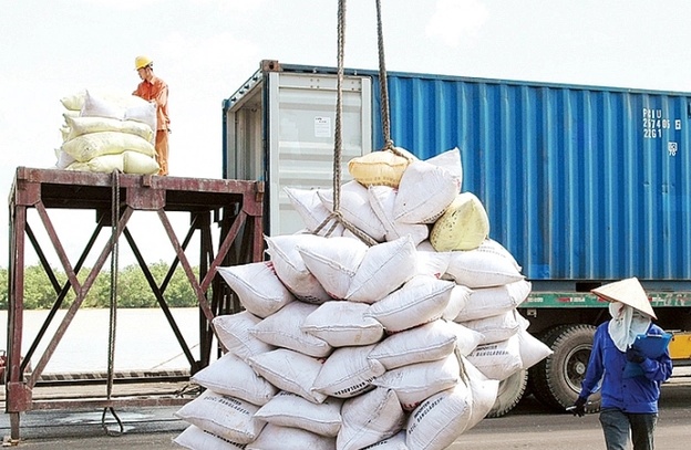 Giá gạo xuất khẩu của Việt Nam tăng 11,5%, lên 542 USD/tấn