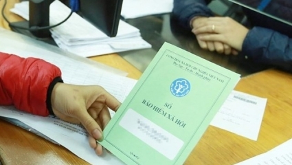 Đà Nẵng đã ban hành 21 quyết định xử phạt vi phạm ở lĩnh vực bảo hiểm