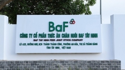 Nông nghiệp Việt Nam (BaF) dự kiến tiếp tục thay lãnh đạo