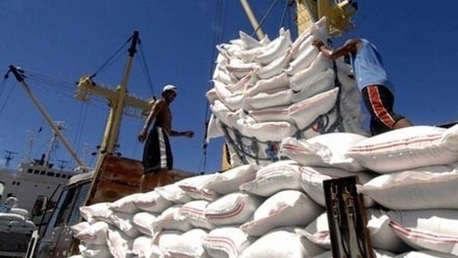 Xuất khẩu gạo năm 2023 chạm con số chưa từng có