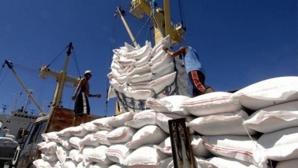 Giá gạo xuất khẩu Việt Nam cao kỷ lục, kim ngạch xuất khẩu lập đỉnh mới