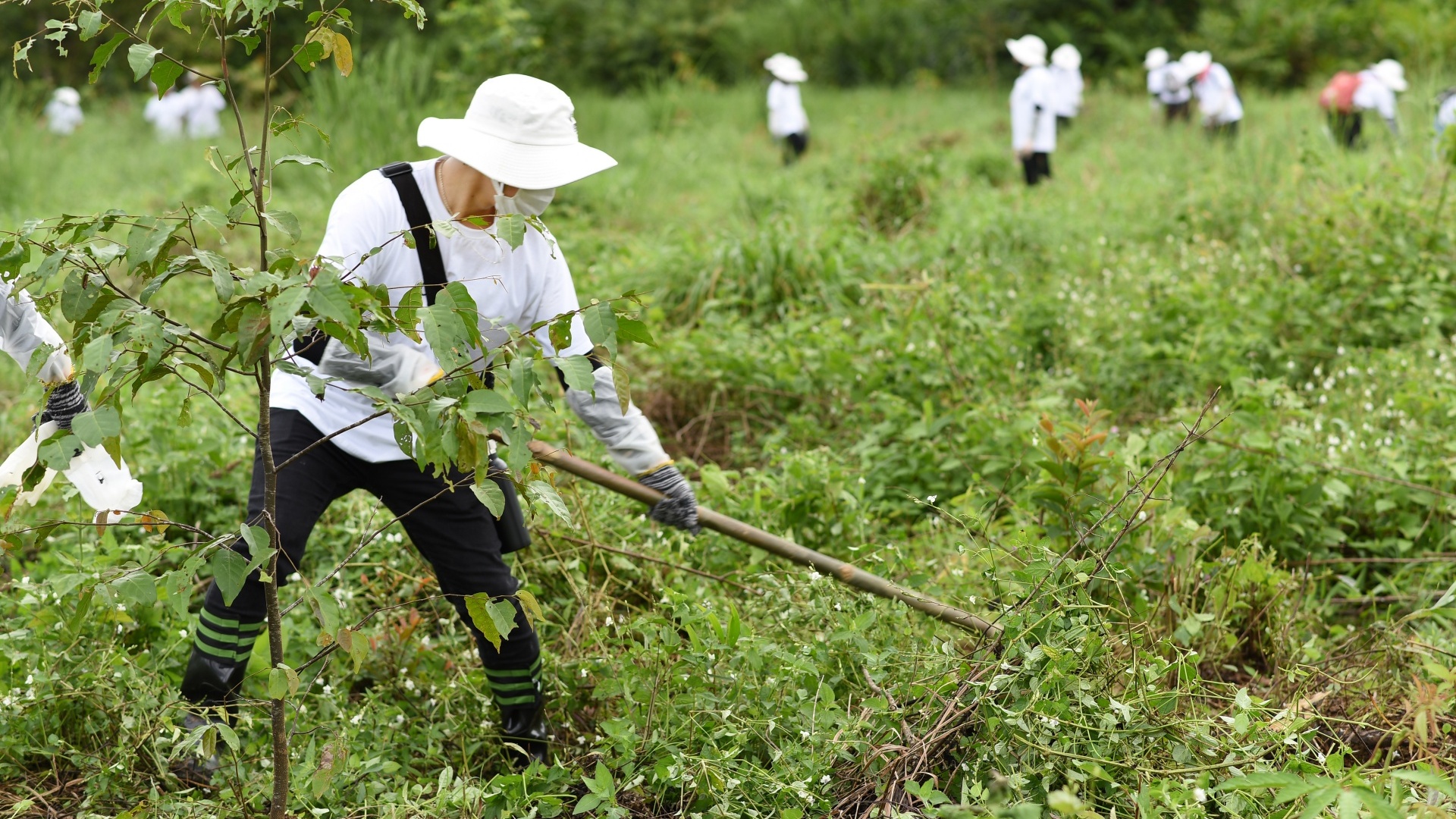 L’Oréal Việt Nam tiếp tục thực hiện cam kết “Trồng rừng cho tương lai xanh”