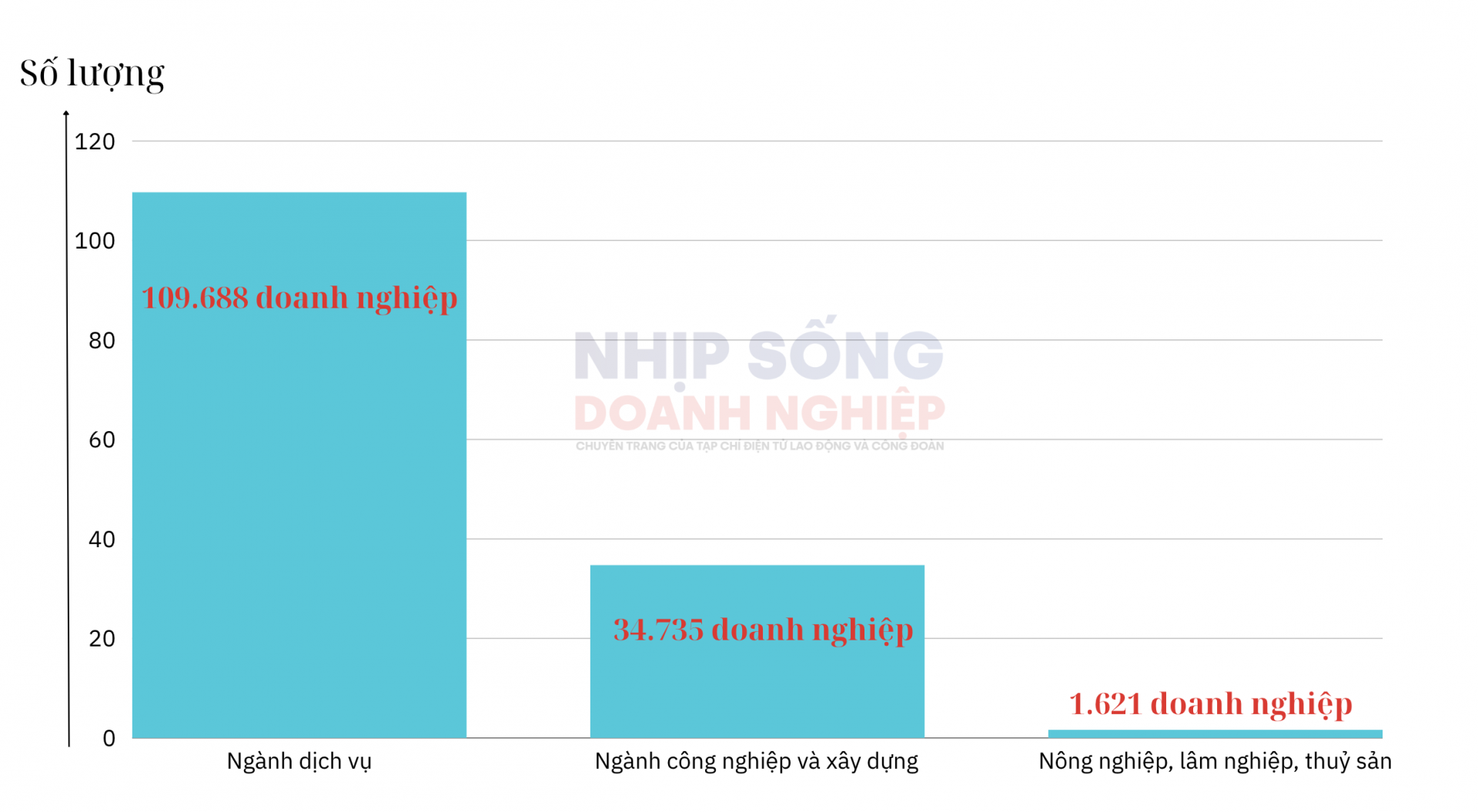 Tăng doanh nghiệp thành lập mới và quay lại hoạt động, chủ yếu nhóm ngành dịch vụ