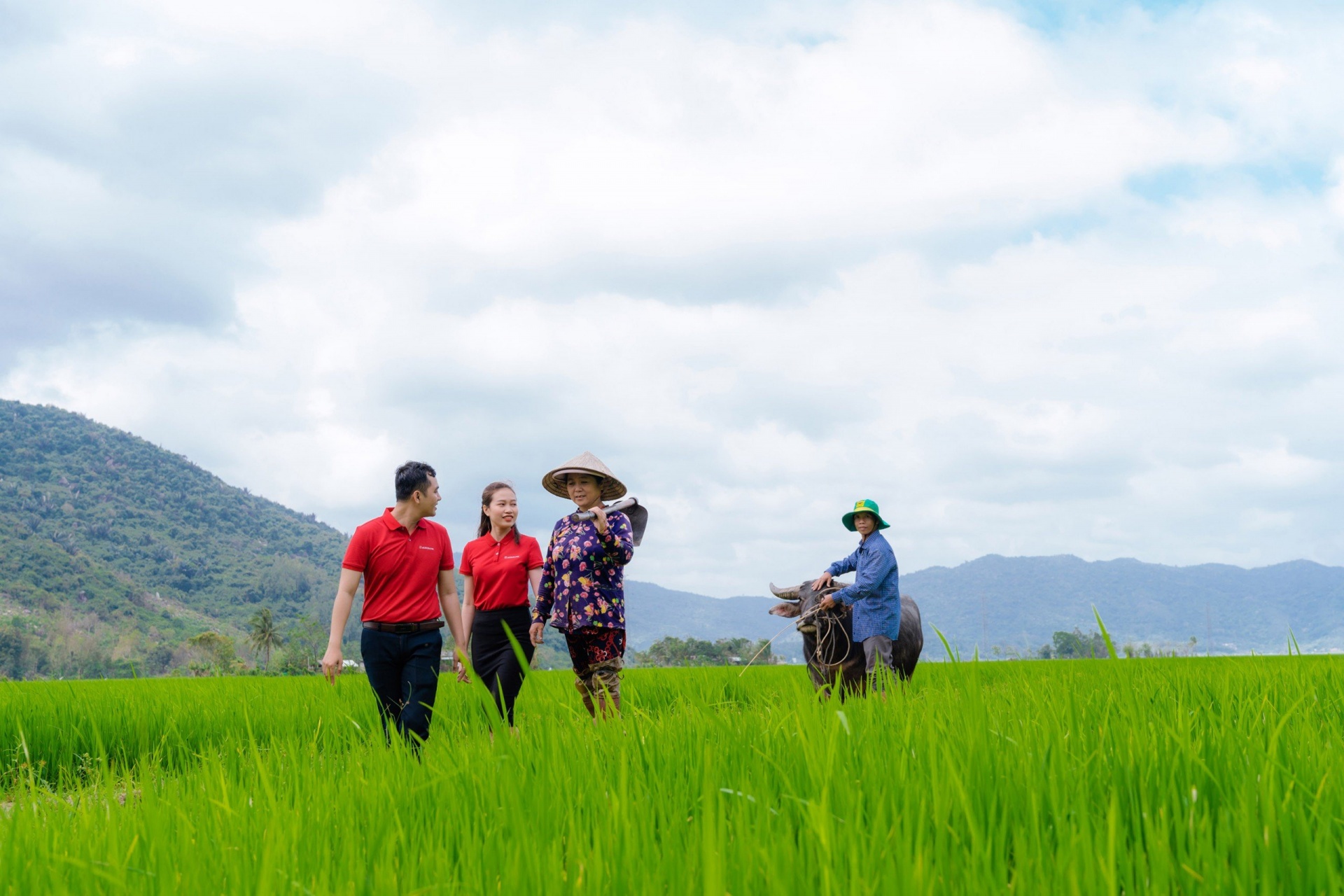 Agribank triển khai đề án 1 triệu ha chuyên canh lúa chất lượng cao phát thải thấp