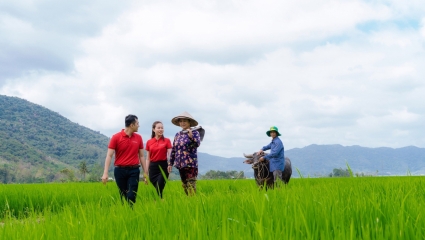 Agribank triển khai đề án 1 triệu ha chuyên canh lúa chất lượng cao phát thải thấp