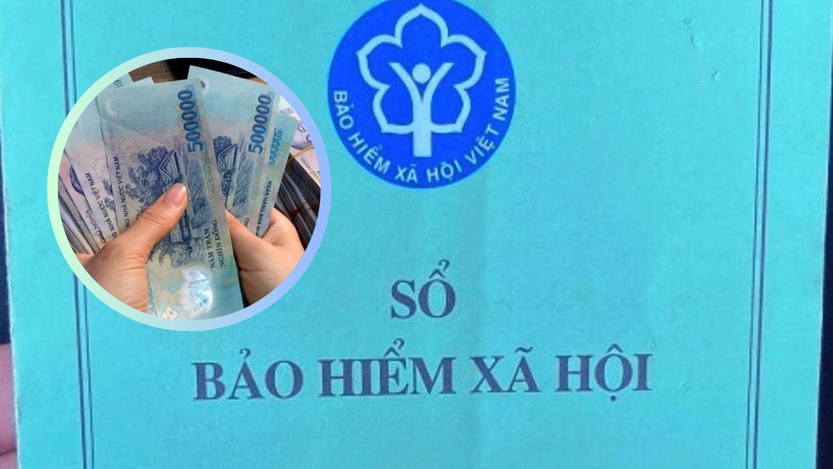 Công ty cũ làm 
