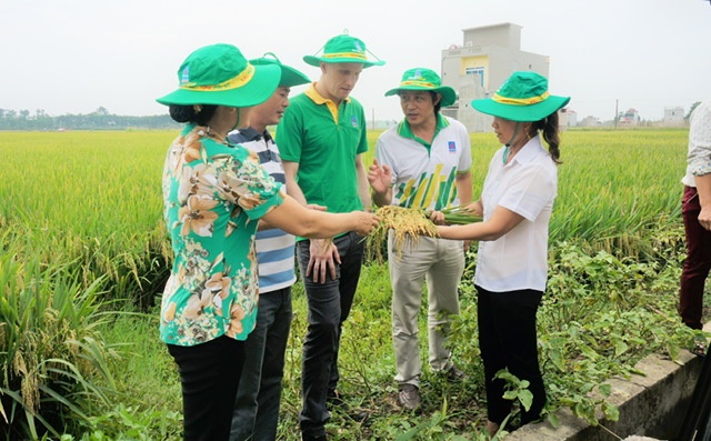 Đã đến lúc không thể không sửa đổi Luật 71