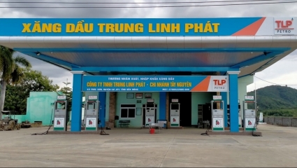 Ninh Bình công khai 176 doanh nghiệp nợ thuế hơn 475 tỷ đồng, Trung Linh Phát đứng đầu danh sách