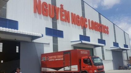 Nguyễn Ngọc Logistics chậm đóng bảo hiểm xã hội gần 900 triệu đồng