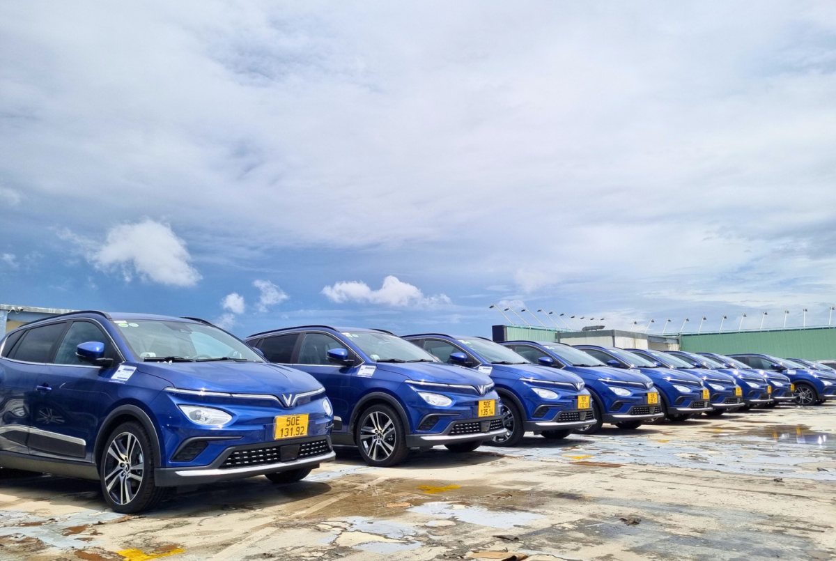 Công ty Đầu tư và Dịch vụ Cảng Hàng không Việt Nam (ASV) nợ đóng bảo hiểm hơn 2,4 tỷ đồng