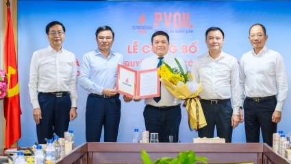 Ông Nguyễn Đăng Trình được bổ nhiệm chức vụ Tổng Giám đốc PVOIL