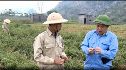 Doanh nhân Phan Trung Kiên: Hành trình khởi nghiệp được lấy cảm hứng từ cà gai leo