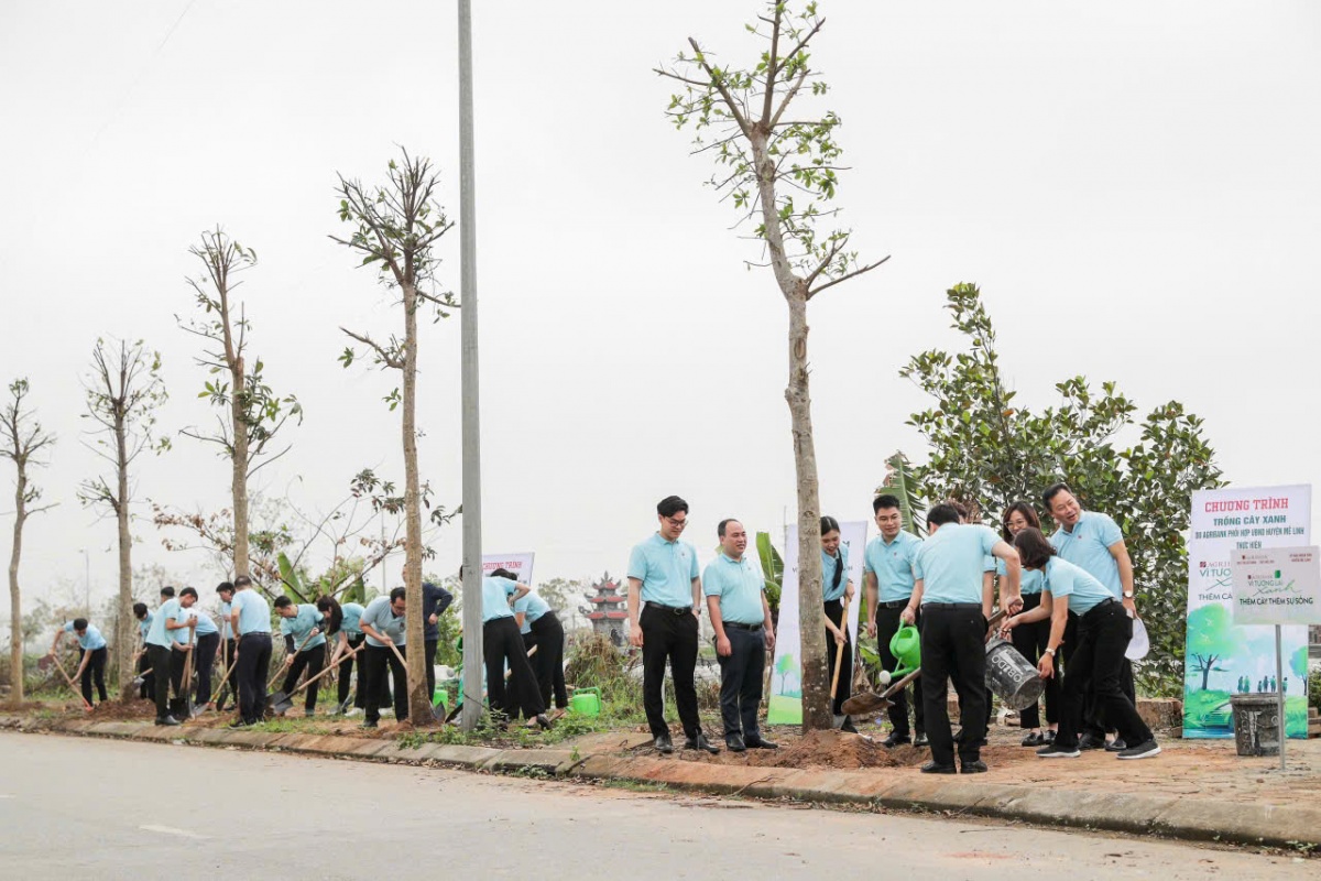 “Agribank - Thêm cây, thêm sự sống”, lan tỏa hành trình “Vì tương lai xanh” tại Mê Linh