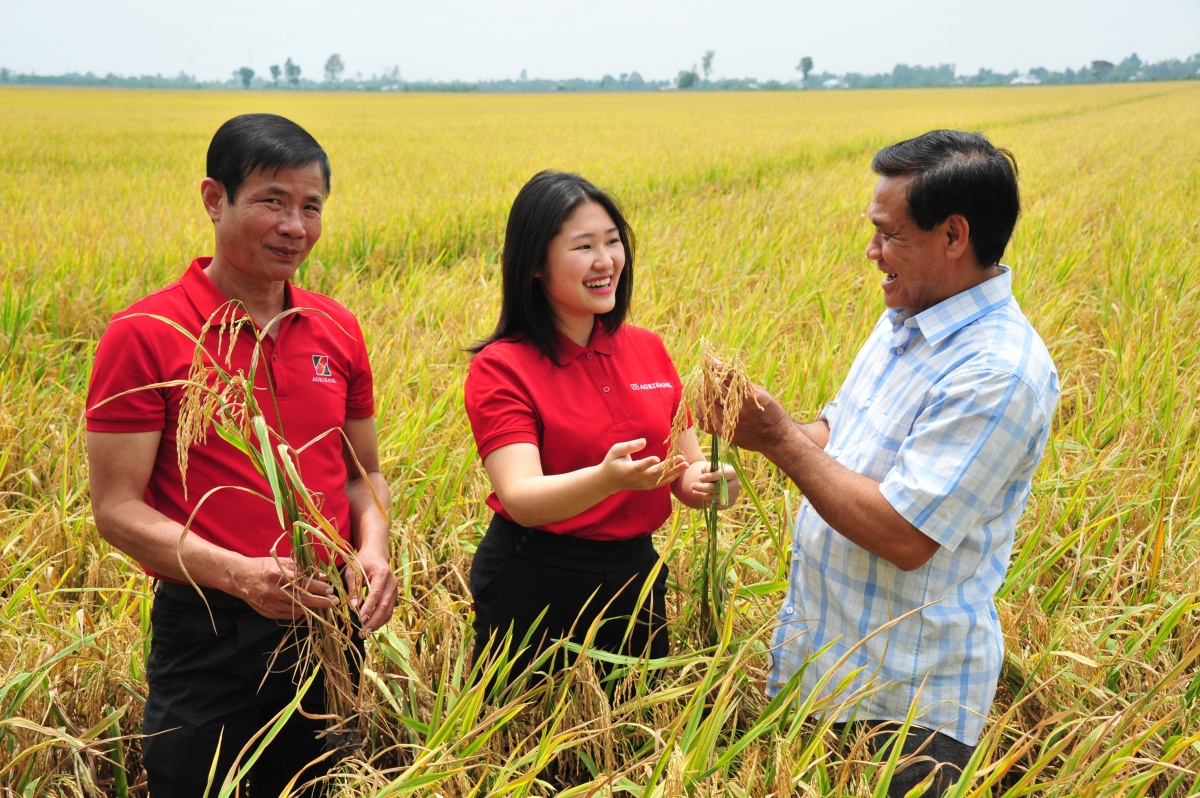 Agribank Bình Dương: Có hạn chế, thiếu sót trong phòng chống rửa tiền, tài trợ khủng bố