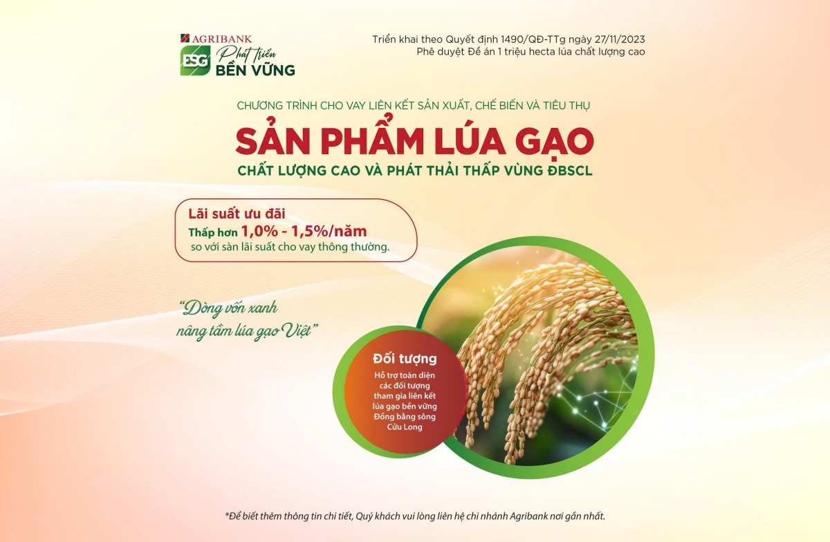Agribank Bình Dương: Có hạn chế, thiếu sót trong phòng chống rửa tiền, tài trợ khủng bố