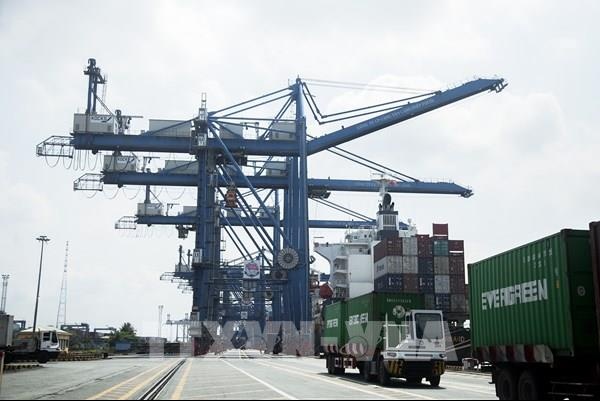 Cục Hàng hải kiểm tra giá cước vận chuyển hàng hóa container bằng đường biển
