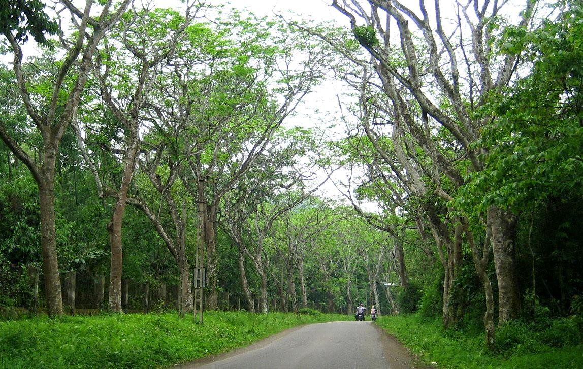 HSBC Vietnam Commits to Arranging US$12 Billion to Green Vietnam