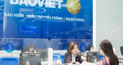 Bảo Việt lên kế hoạch lợi nhuận đi ngang, trả cổ tức hơn 30% bằng tiền